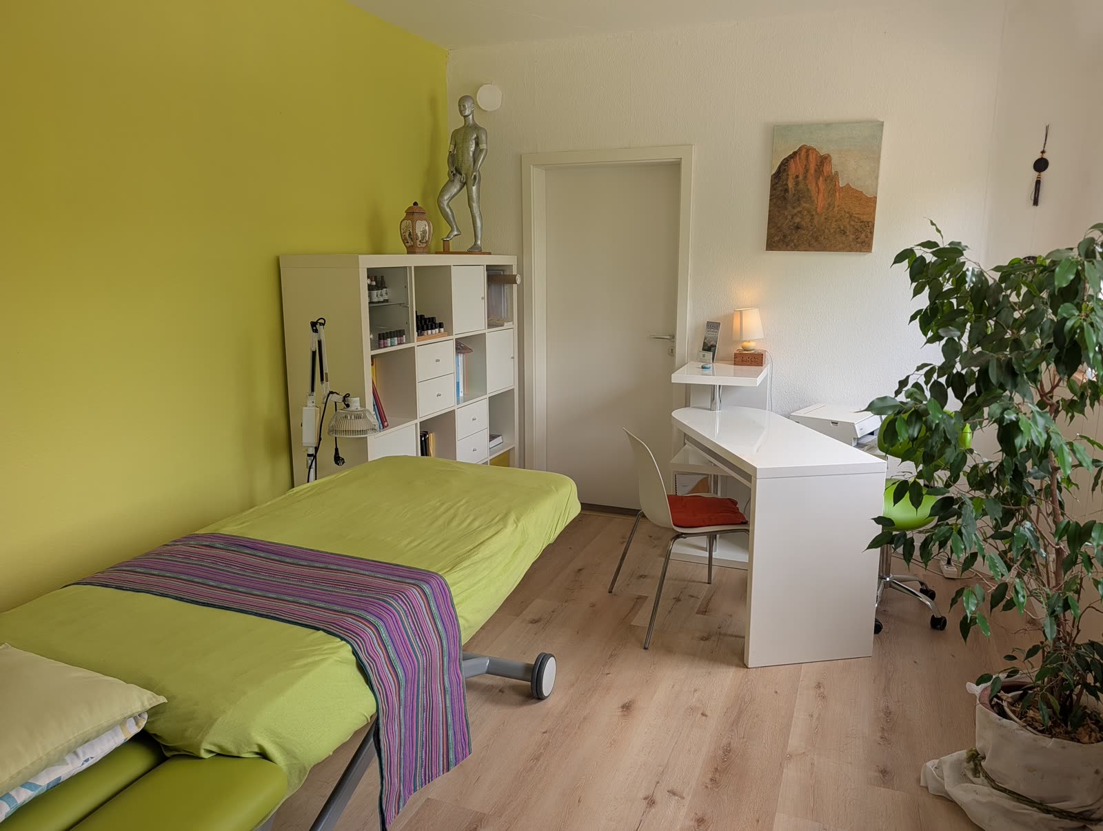 Behandlungsraum mit Massageliege vor jadegrüner Wand, Schreibtisch, Akupunkturmodell und Zimmerpflanze auf hellem Holzboden